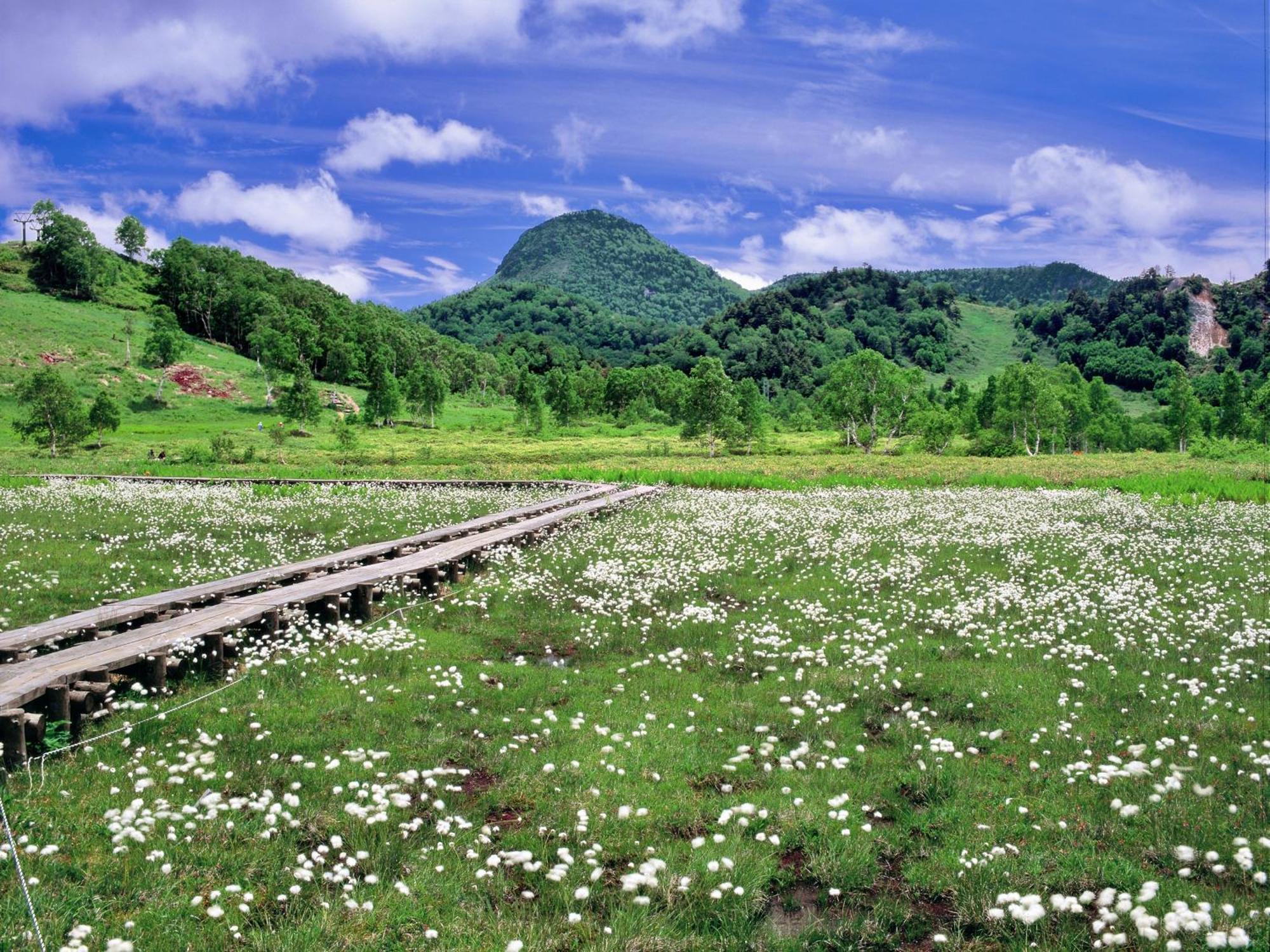 Kidoike Onsen Hotel Яманути Экстерьер фото